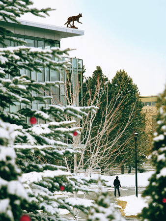Winter